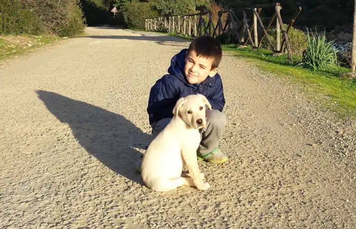 Area cani Pirri Via Cuoco