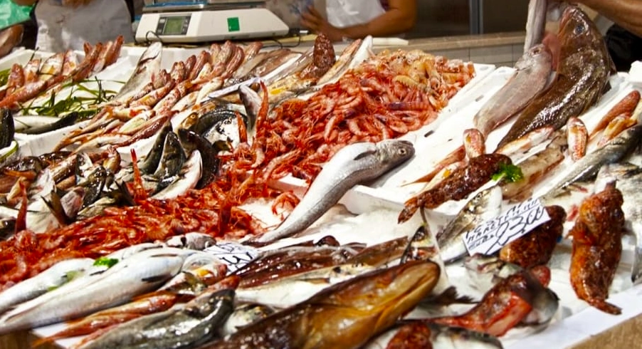 Frutta e verdura fresca sarda