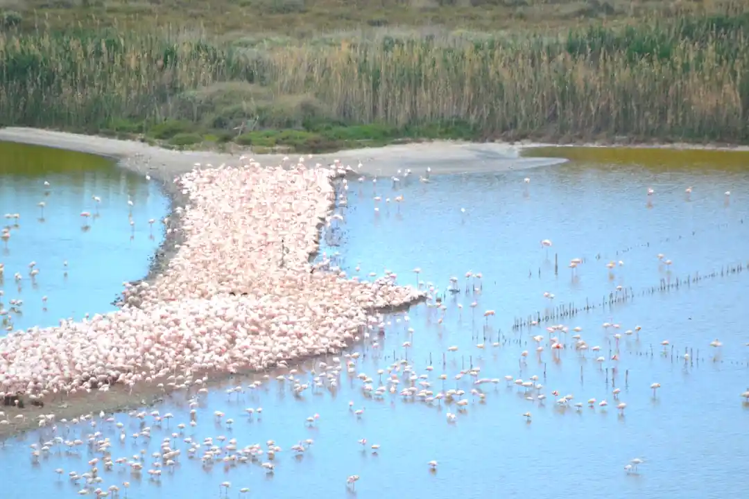 Biciclette e sentiero nel Parco Molentargius