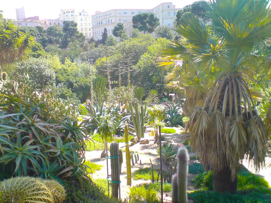 Veduta panoramica dell'Orto Botanico di Cagliari