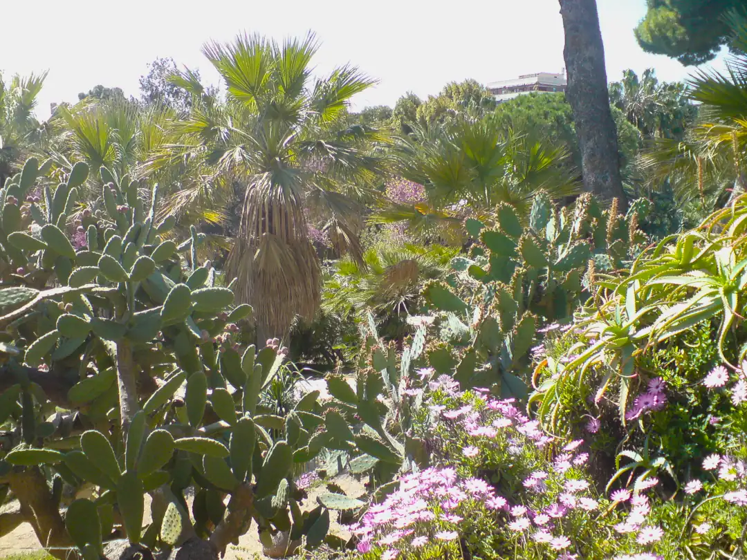 Segnale o mappa dell'Orto Botanico di Cagliari